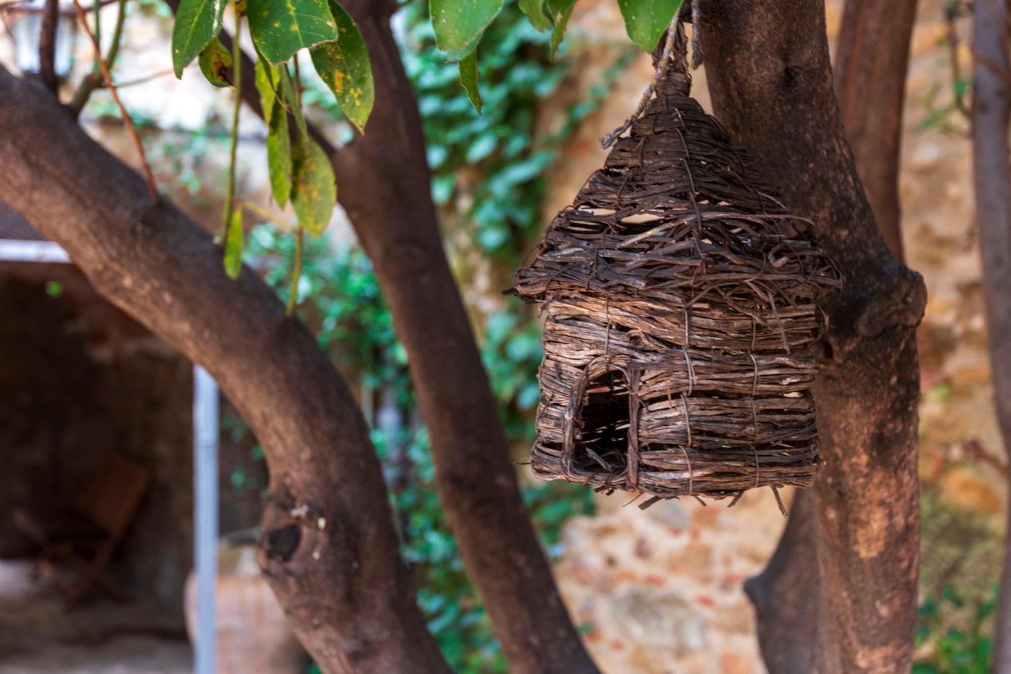 Hostal Can Xicu Capmany المظهر الخارجي الصورة